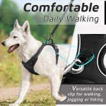 Eagloo Large No-Pull Dog Harness with Handle