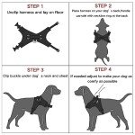 Adjustable No-Pull Dog Harness with Reflective Design
