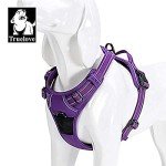 TrueLove No-Pull Dog Harness with Reflective Stitching