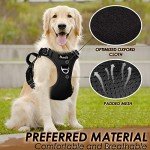 Adjustable Heavy Duty Dog Harness for Large Breeds