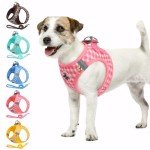 Poseca No-Pull Dog Harness and Leash Set