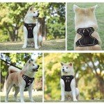 Adjustable Heavy Duty Dog Harness for Large Breeds