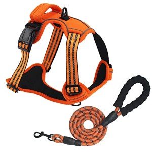 Adjustable No Pull Dog Harness with Reflective Vest