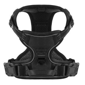 Adjustable No-Pull Dog Harness with Reflective Strap