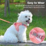Poseca No-Pull Dog Harness and Leash Set