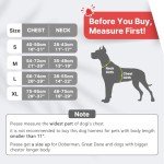 Adjustable No-Pull Dog Harness with Reflective Strap