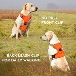 Adjustable No Pull Dog Harness with Reflective Vest