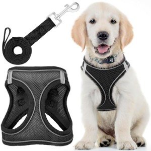EcoEarth No-Pull Dog Harness and Leash Set