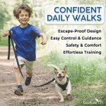 EcoEarth No-Pull Dog Harness and Leash Set