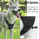 Adjustable No-Pull Dog Harness with Reflective Strap
