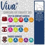 PETBLIS Medium Black Mesh Dog Harness