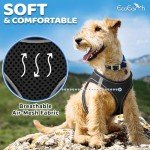 EcoEarth No-Pull Dog Harness and Leash Set