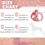 Poseca No-Pull Dog Harness and Leash Set