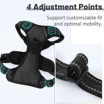 Adjustable No-Pull Dog Harness with Reflective Strap