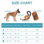 Adjustable No Pull Dog Harness with Reflective Vest