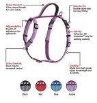 Lightweight Adjustable Dog Harness with Handle - Purple