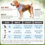 EcoEarth No-Pull Dog Harness and Leash Set