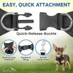 EcoEarth No-Pull Dog Harness and Leash Set