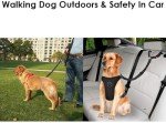 Adjustable Dog Seat Belt for Car Safety
