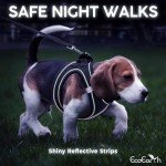 EcoEarth No-Pull Dog Harness and Leash Set