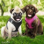 EcoEarth No-Pull Dog Harness and Leash Set