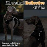 Escape-Proof Dog Harness with Large Handle, Black