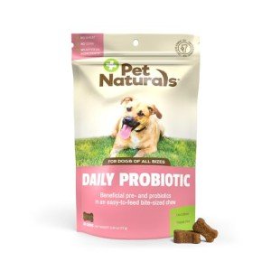 Pet Naturals Daily Probiotic Chews for Dogs