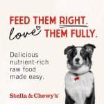 Stella & Chewy's Beef Liver Dog Treats - 3oz