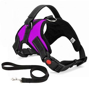 Adjustable No-Pull Dog Harness with Leash - Purple