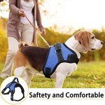 Adjustable No-Pull Dog Harness with Handle - Blue
