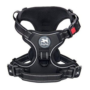 PoyPet No-Pull Reflective Dog Harness for Medium Dogs