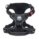 PoyPet No-Pull Reflective Dog Harness for Medium Dogs