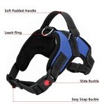 Adjustable No-Pull Dog Harness with Handle - Blue