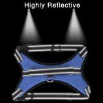 Adjustable No-Pull Dog Harness with Handle - Blue