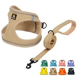 BELLA & PAL Reflective Dog Harness and Leash Set