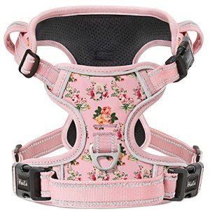 Floral-Pink Anti-Pull Dog Harness for Medium Dogs