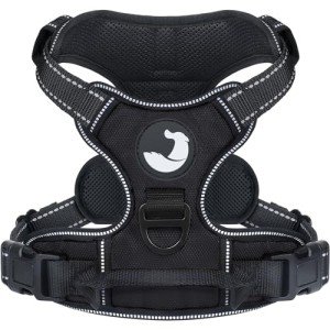 Joytale Medium No Pull Dog Harness with Leash Clips