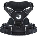 Joytale Medium No Pull Dog Harness with Leash Clips