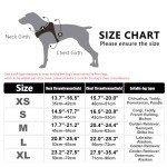 Adjustable No-Pull Dog Harness with Handle - Blue