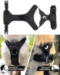 Joytale Medium No Pull Dog Harness with Leash Clips