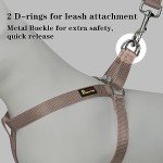 Reflective Adjustable Dog Harness for All Sizes