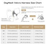 BELLA & PAL Reflective Dog Harness and Leash Set