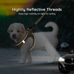 BELLA & PAL Reflective Dog Harness and Leash Set