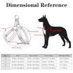 Reflective Adjustable Dog Harness for All Sizes