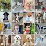 BELLA & PAL Reflective Dog Harness and Leash Set