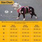 Huntboo Escape Proof Adjustable Dog Harness - Medium