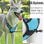Belababy No-Pull Adjustable Dog Harness - Blue