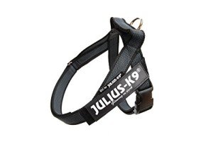 Julius-K9 IDC Mini Belt Harness, Black-Gray