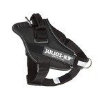 Julius-K9 IDC Powerharness, Black Dog Harness, Size M
