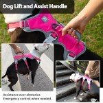 Huntboo Escape Proof Adjustable Dog Harness - Medium